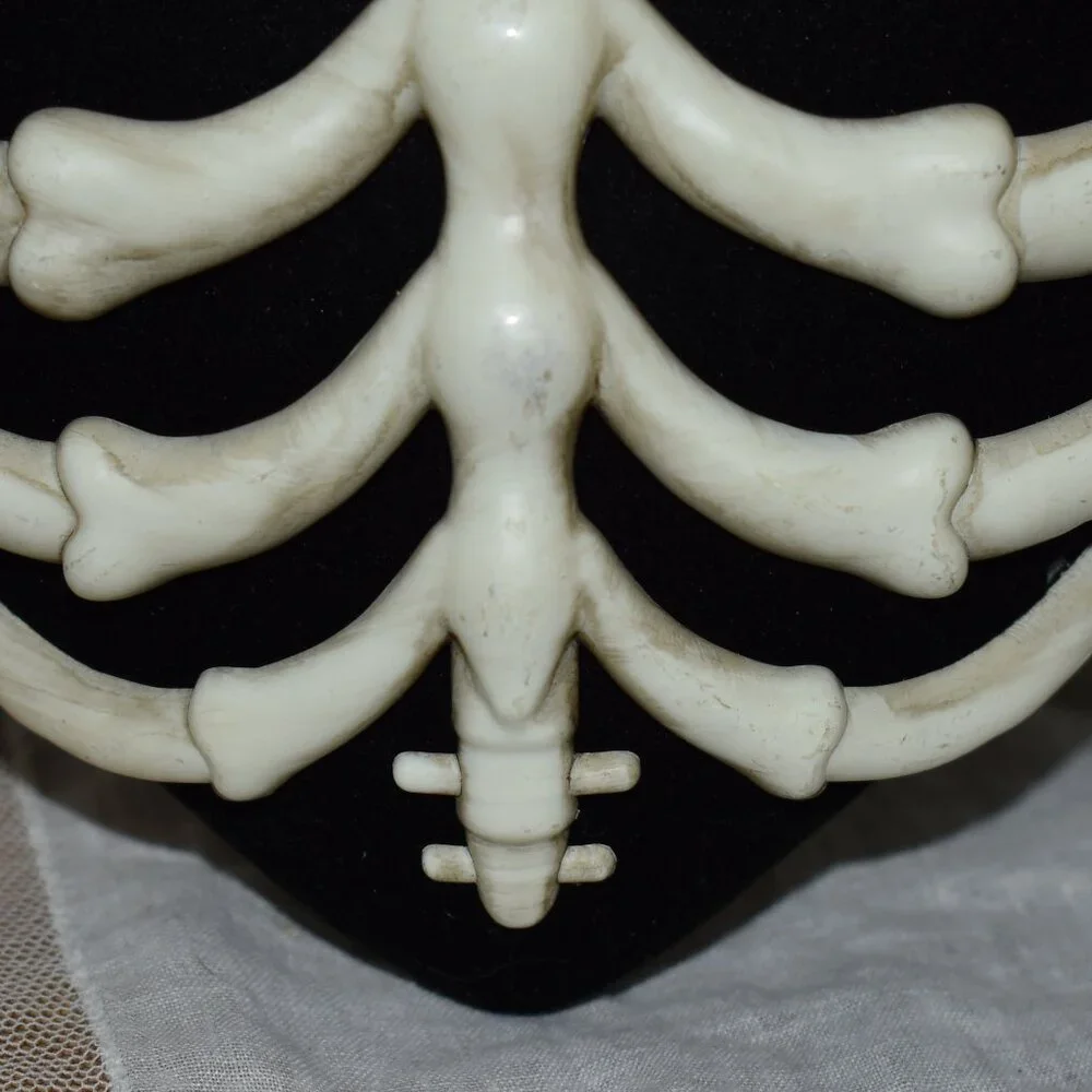 Gothic Black Velvet Skelton Bone Ribcage Heart 6